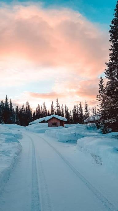 Cozy Mountain Cottage With Beautiful Views & Sauna Beitostolen ภายนอก รูปภาพ