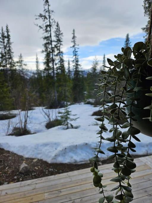 Cozy Mountain Cottage With Beautiful Views & Sauna Beitostolen ภายนอก รูปภาพ